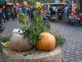 Rosenthaler Herbst © Bürgerverein Dorf Rosenthal
