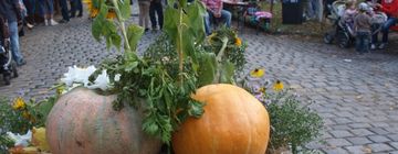 Rosenthaler Herbst © Bürgerverein Dorf Rosenthal