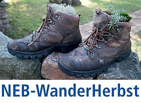 NEB-WanderHerbst 