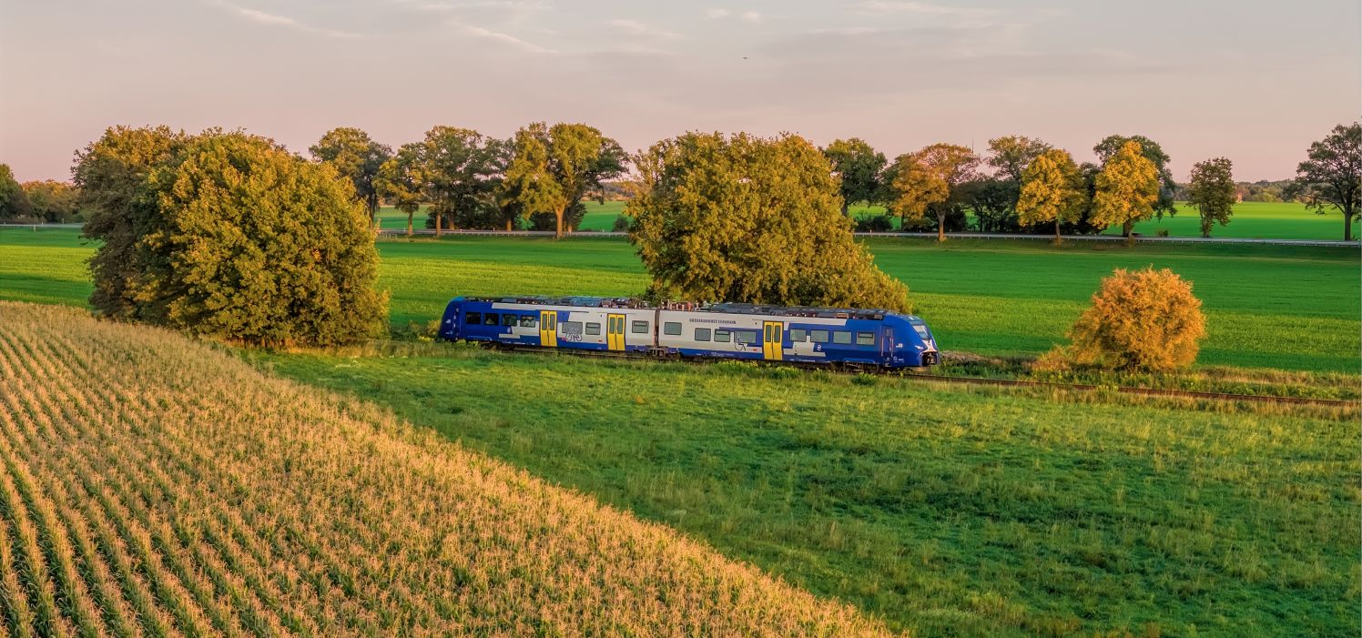 Ein Zug in frühherbstlicher Landschaft